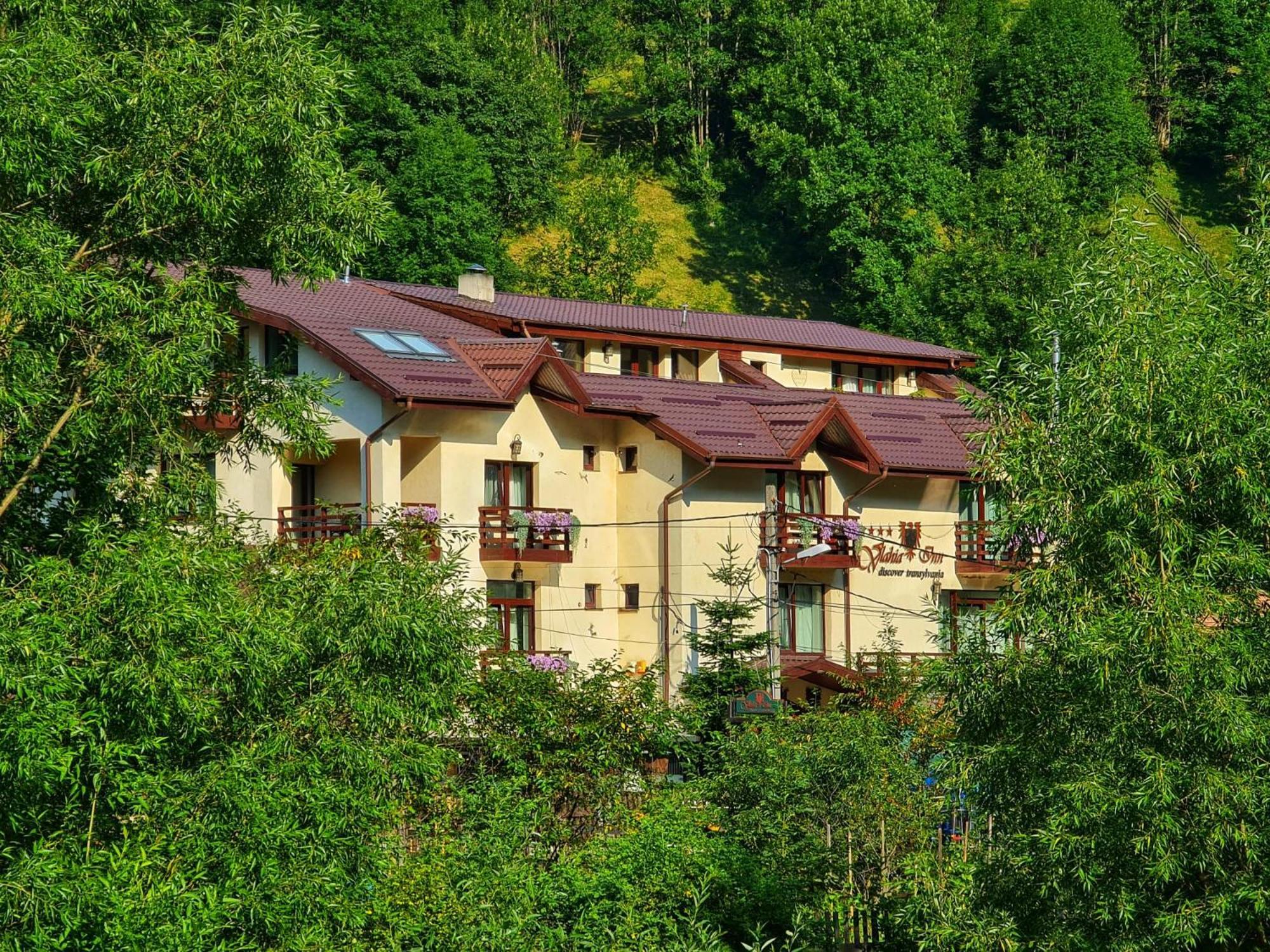 Pensiunea Vlahia Inn Moeciu De Sus Bagian luar foto